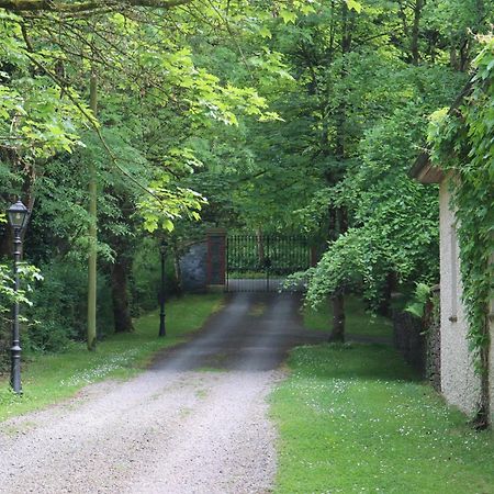 Millvale Cottage Cootehill Kültér fotó